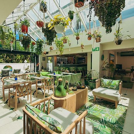 Le Petit Manoir Boutique Hotel Franschhoek Ngoại thất bức ảnh